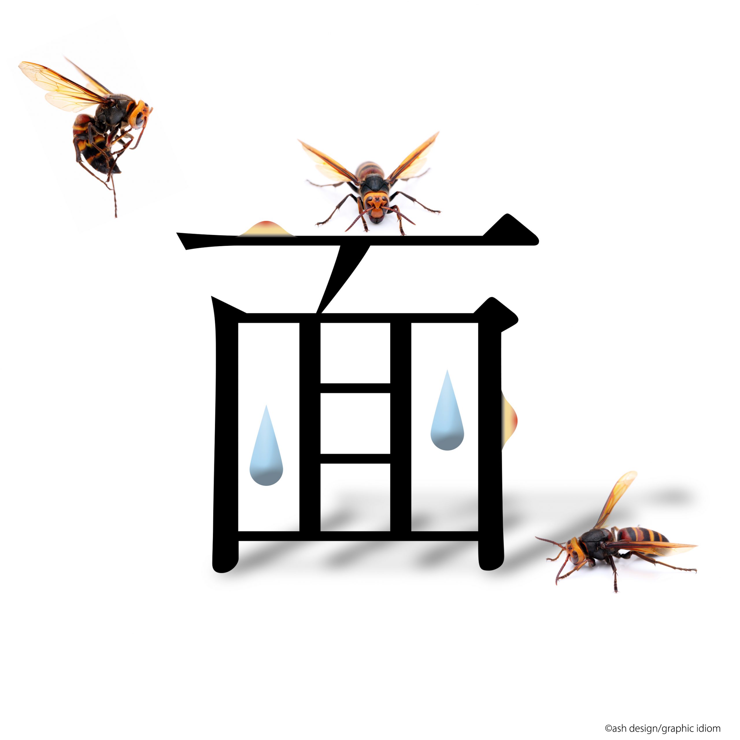 泣きっ面に蜂